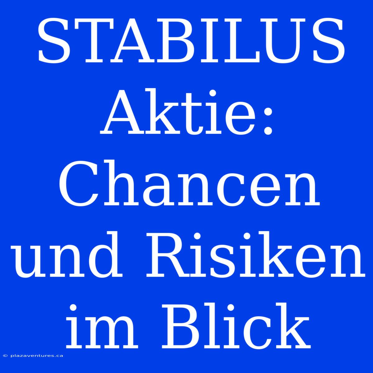 STABILUS Aktie: Chancen Und Risiken Im Blick