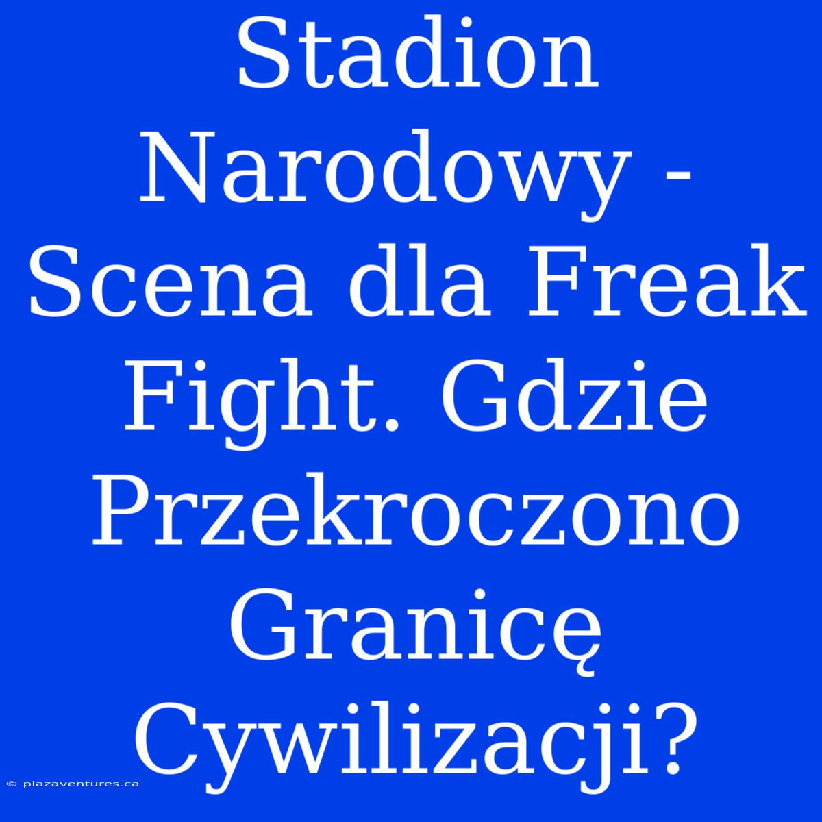 Stadion Narodowy - Scena Dla Freak Fight. Gdzie Przekroczono Granicę Cywilizacji?