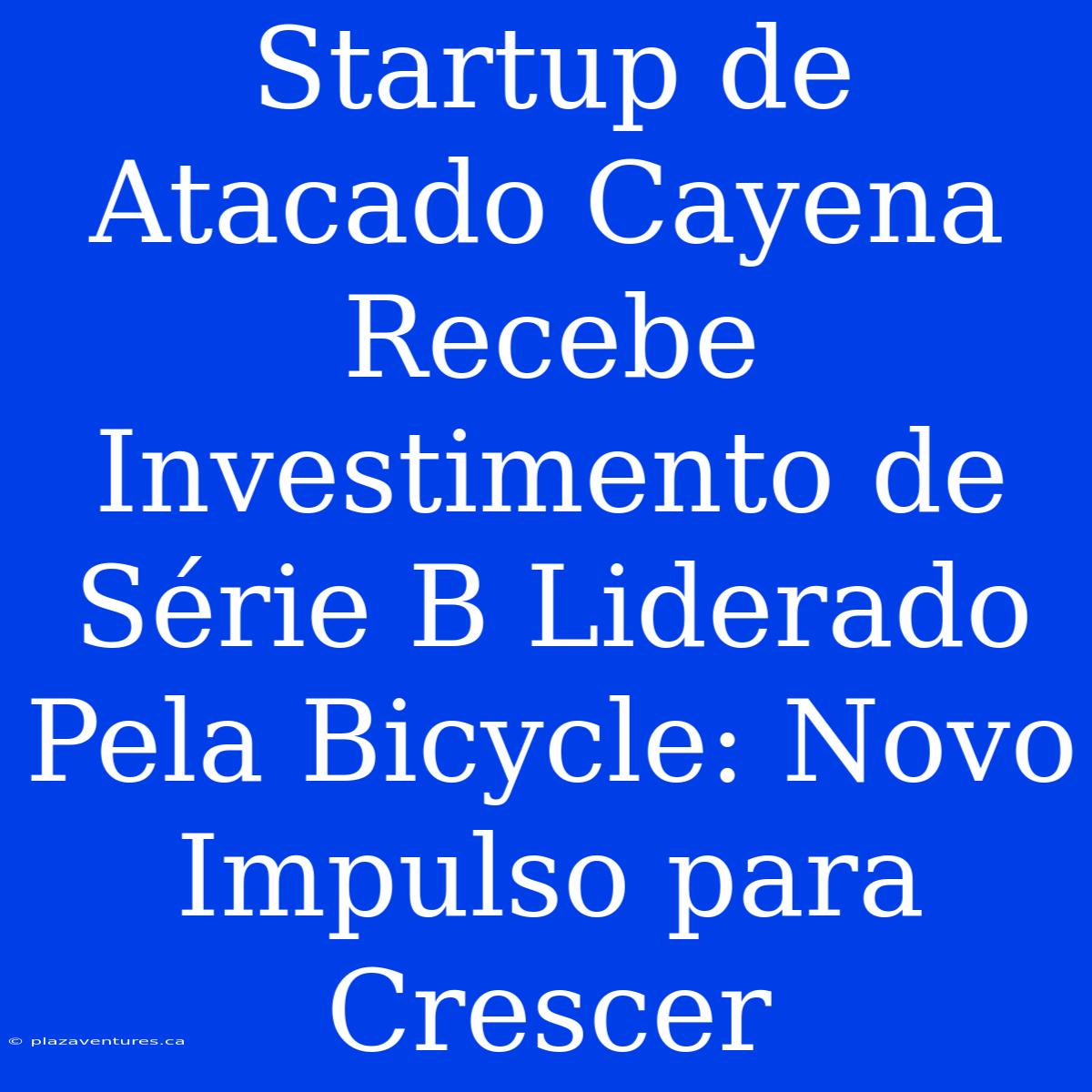 Startup De Atacado Cayena Recebe Investimento De Série B Liderado Pela Bicycle: Novo Impulso Para Crescer