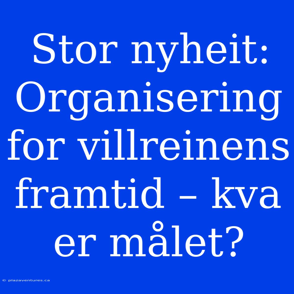 Stor Nyheit: Organisering For Villreinens Framtid – Kva Er Målet?