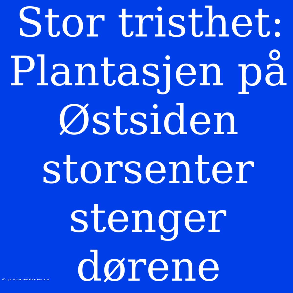 Stor Tristhet: Plantasjen På Østsiden Storsenter Stenger Dørene