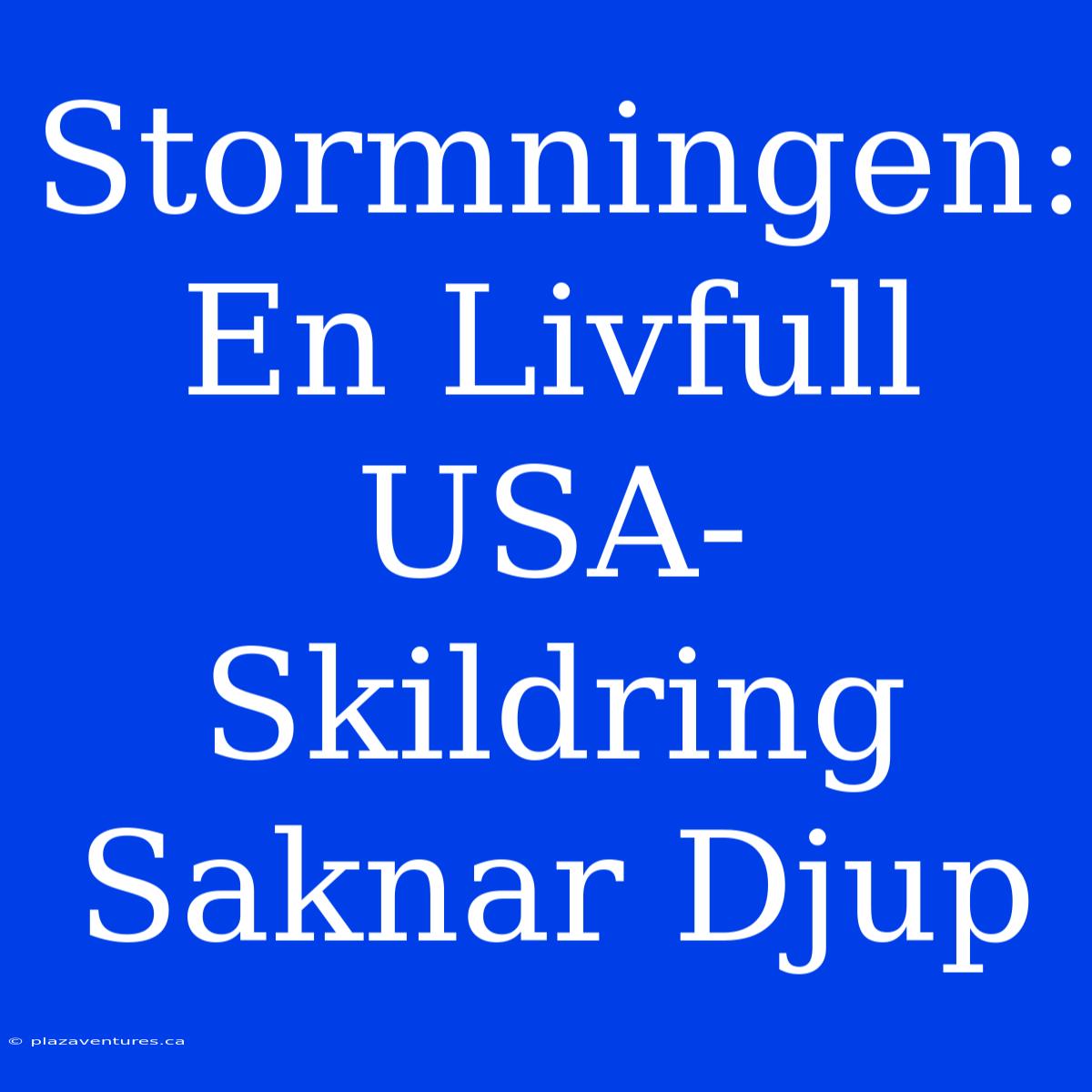 Stormningen: En Livfull USA-Skildring Saknar Djup