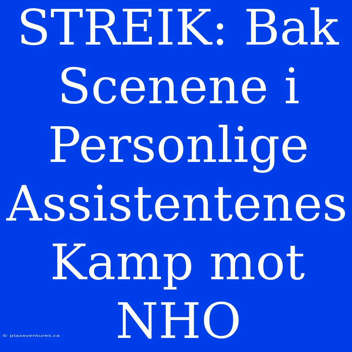 STREIK: Bak Scenene I Personlige Assistentenes Kamp Mot NHO