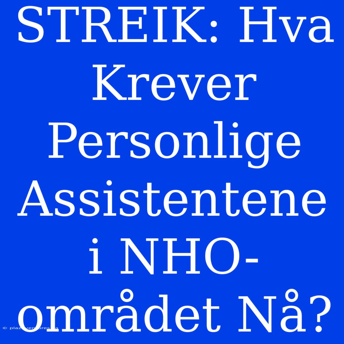 STREIK: Hva Krever Personlige Assistentene I NHO-området Nå?