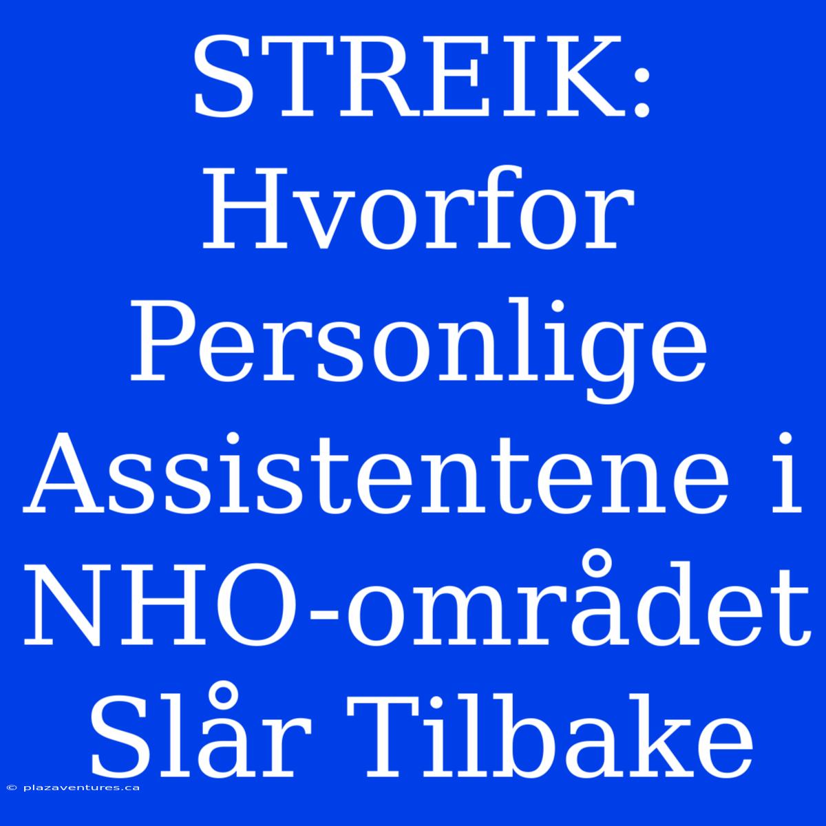 STREIK: Hvorfor Personlige Assistentene I NHO-området Slår Tilbake