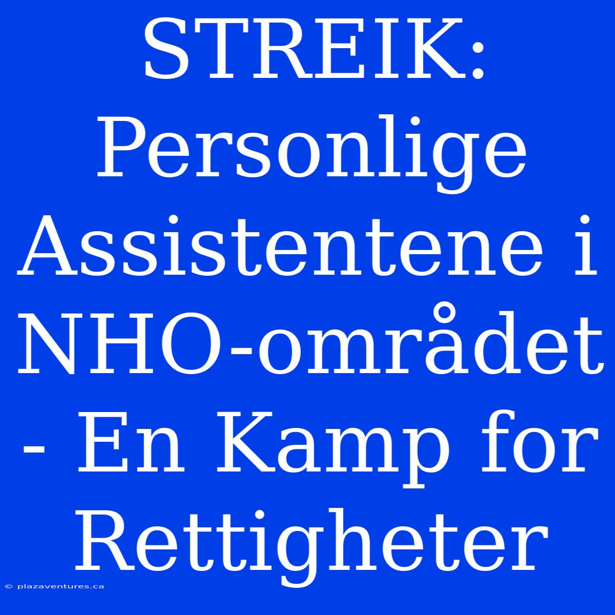 STREIK: Personlige Assistentene I NHO-området - En Kamp For Rettigheter