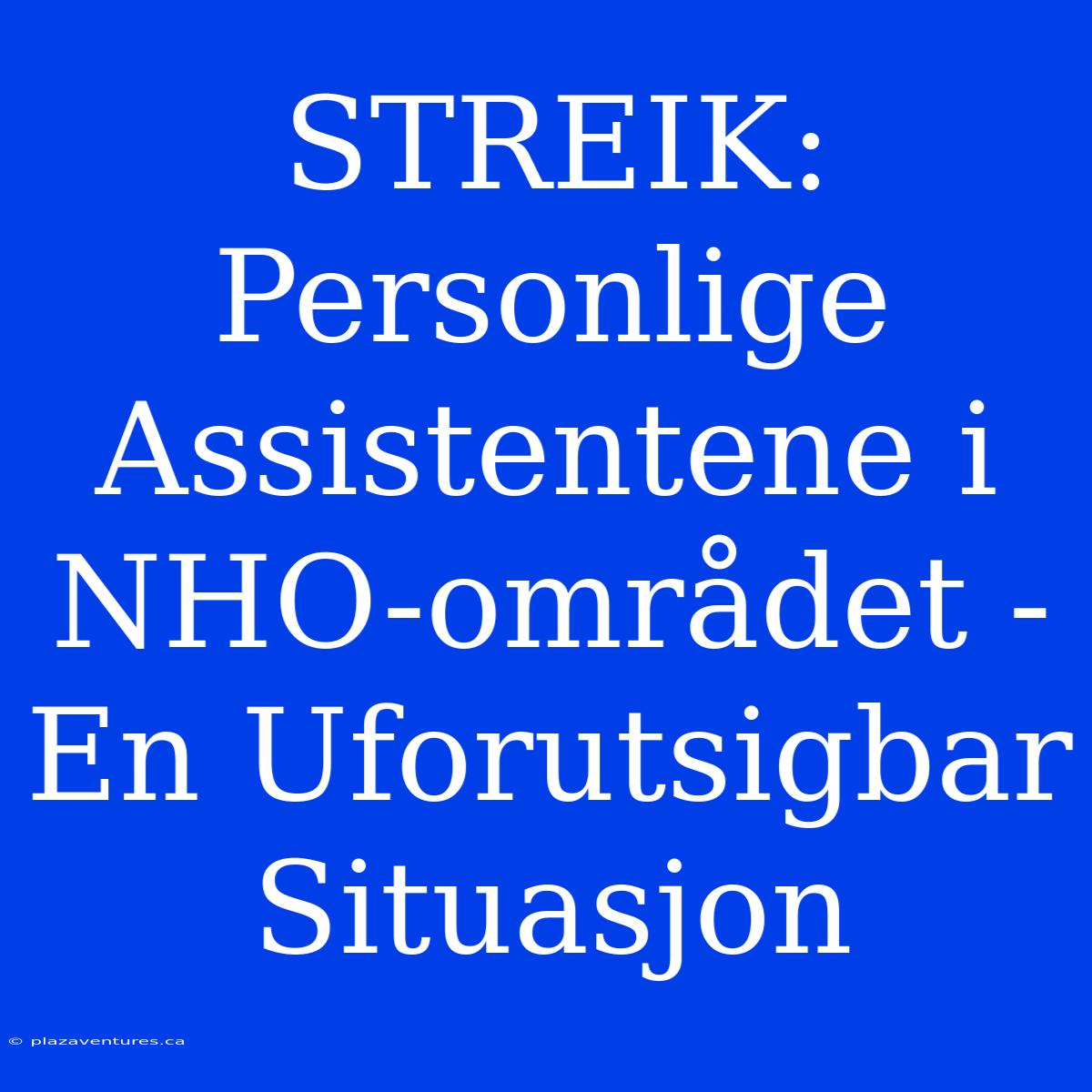 STREIK: Personlige Assistentene I NHO-området - En Uforutsigbar Situasjon