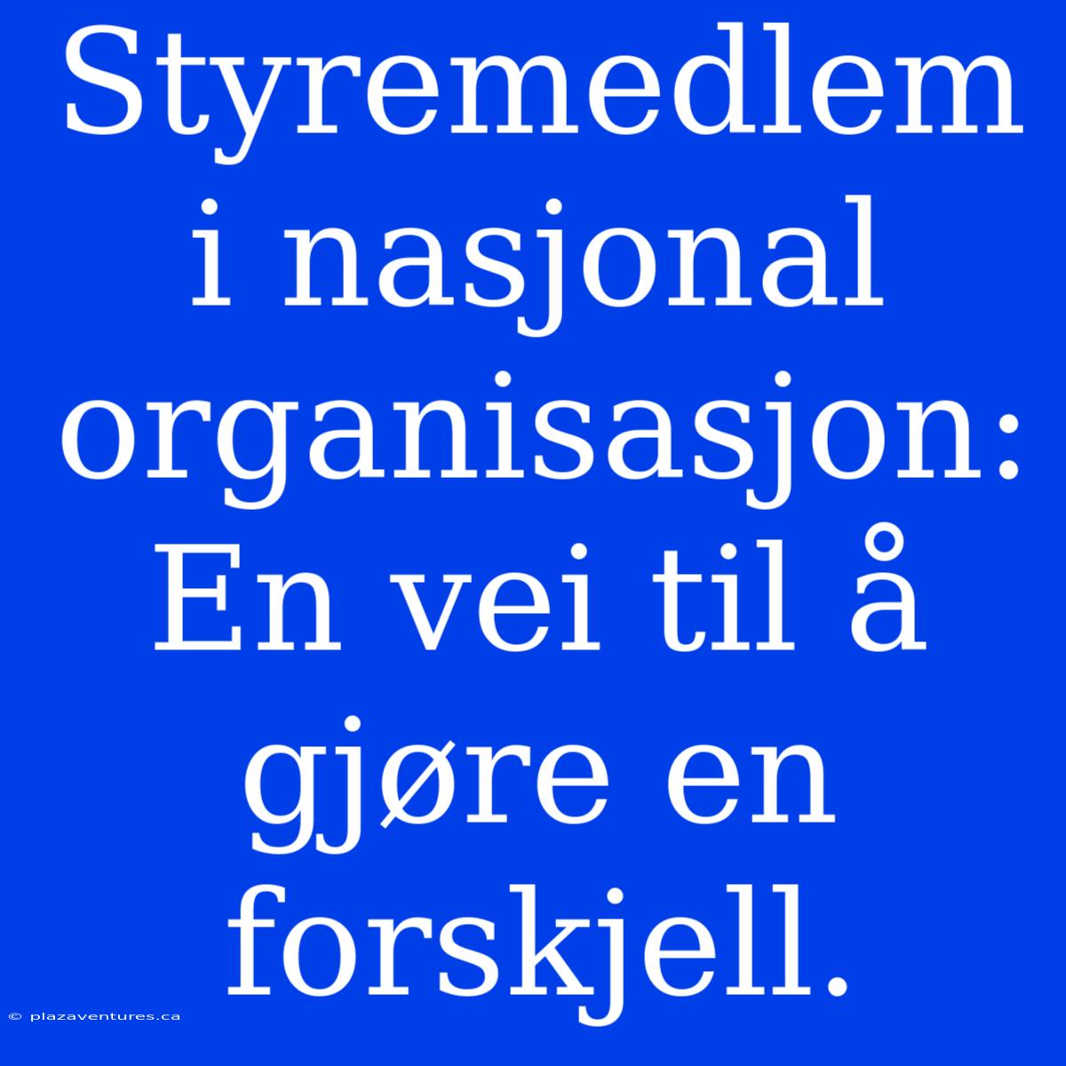 Styremedlem I Nasjonal Organisasjon: En Vei Til Å Gjøre En Forskjell.