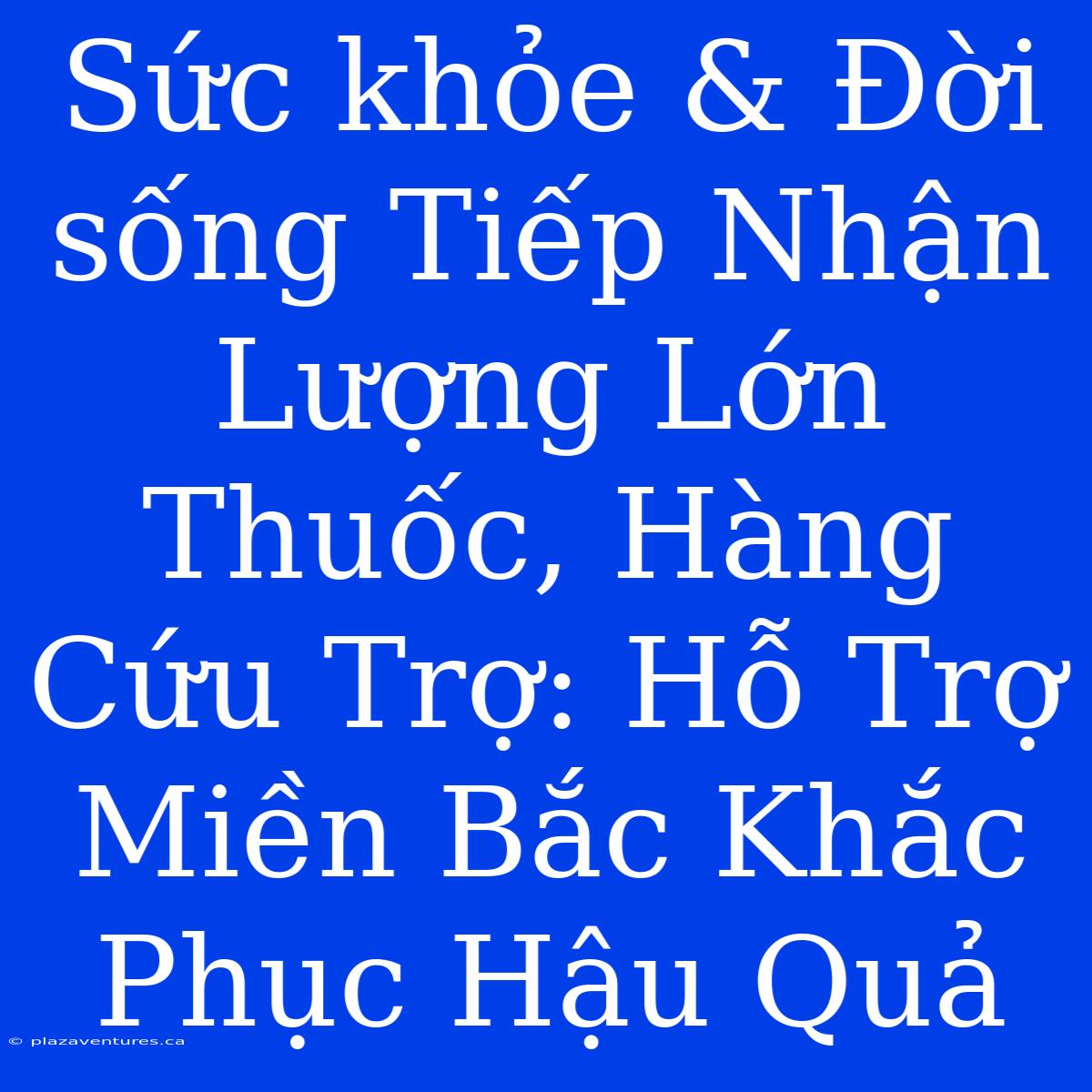 Sức Khỏe & Đời Sống Tiếp Nhận Lượng Lớn Thuốc, Hàng Cứu Trợ: Hỗ Trợ Miền Bắc Khắc Phục Hậu Quả