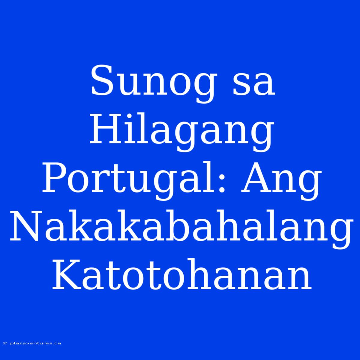 Sunog Sa Hilagang Portugal: Ang Nakakabahalang Katotohanan