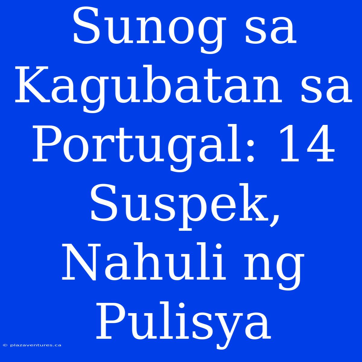 Sunog Sa Kagubatan Sa Portugal: 14 Suspek, Nahuli Ng Pulisya