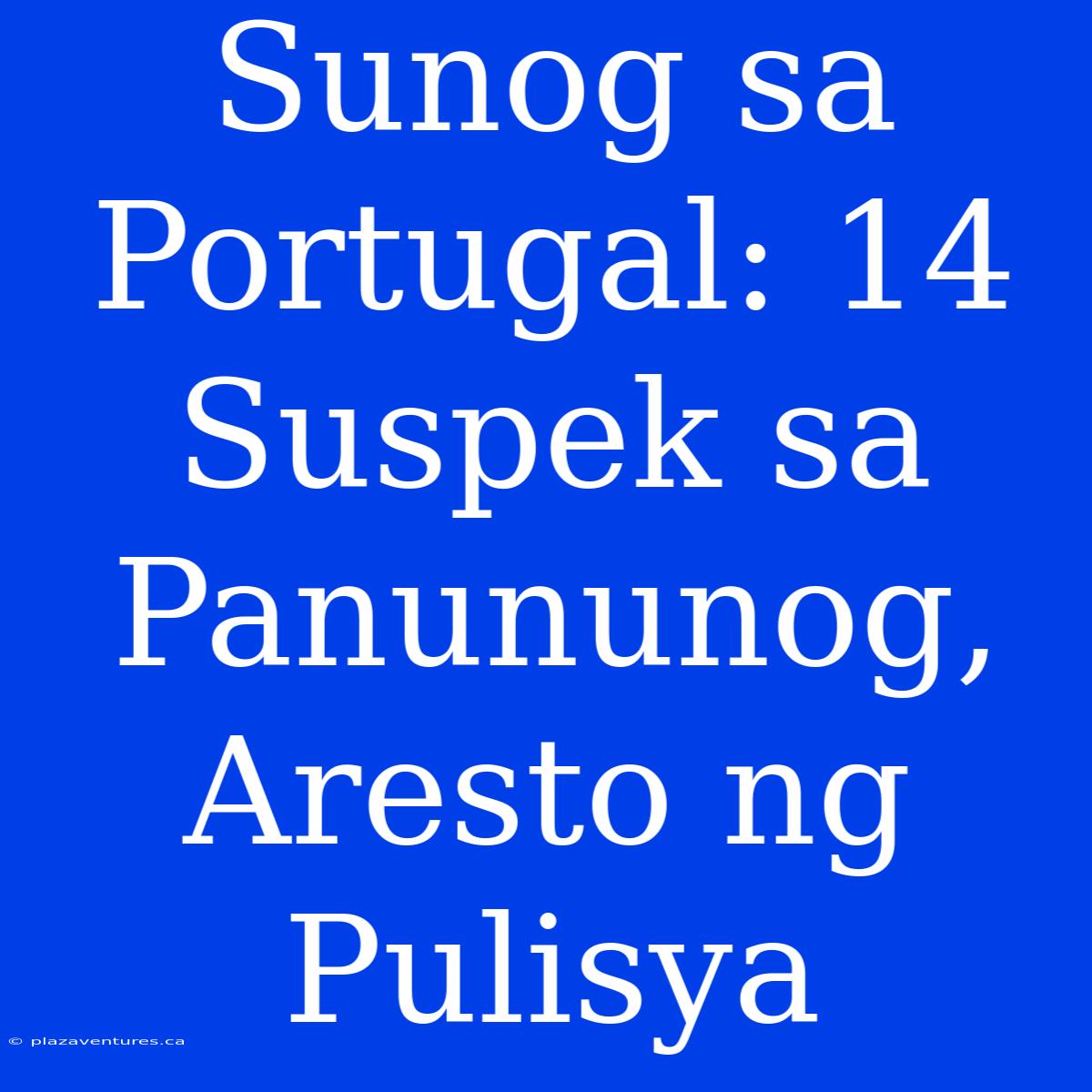 Sunog Sa Portugal: 14 Suspek Sa Panununog, Aresto Ng Pulisya