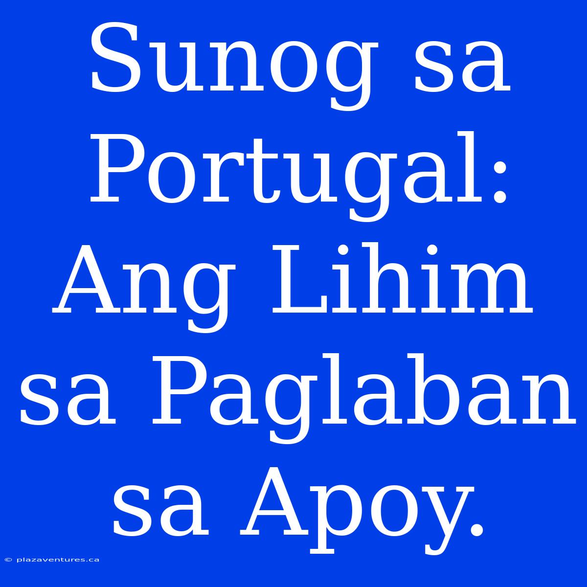 Sunog Sa Portugal:  Ang Lihim Sa Paglaban Sa Apoy.