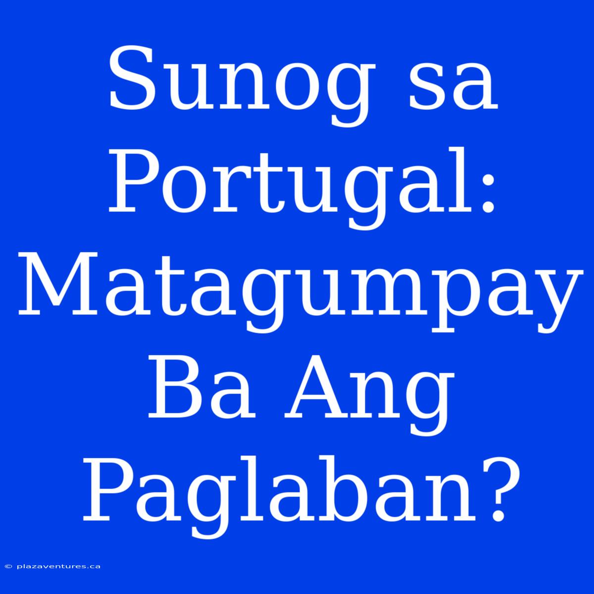 Sunog Sa Portugal: Matagumpay Ba Ang Paglaban?