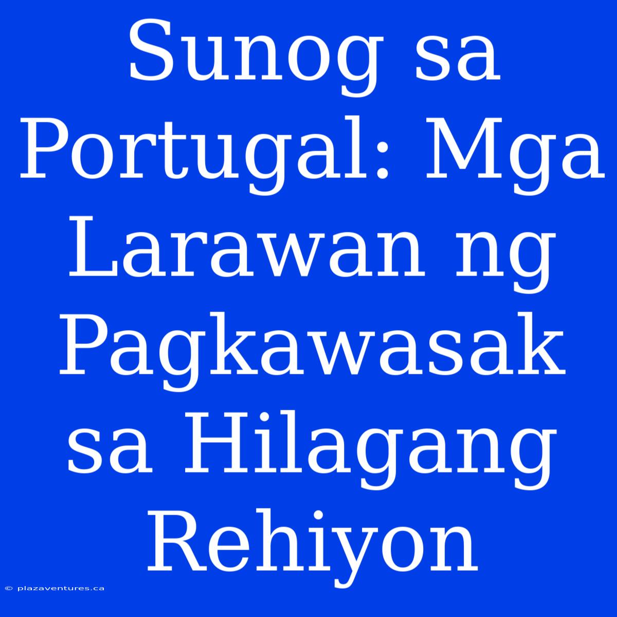 Sunog Sa Portugal: Mga Larawan Ng Pagkawasak Sa Hilagang Rehiyon