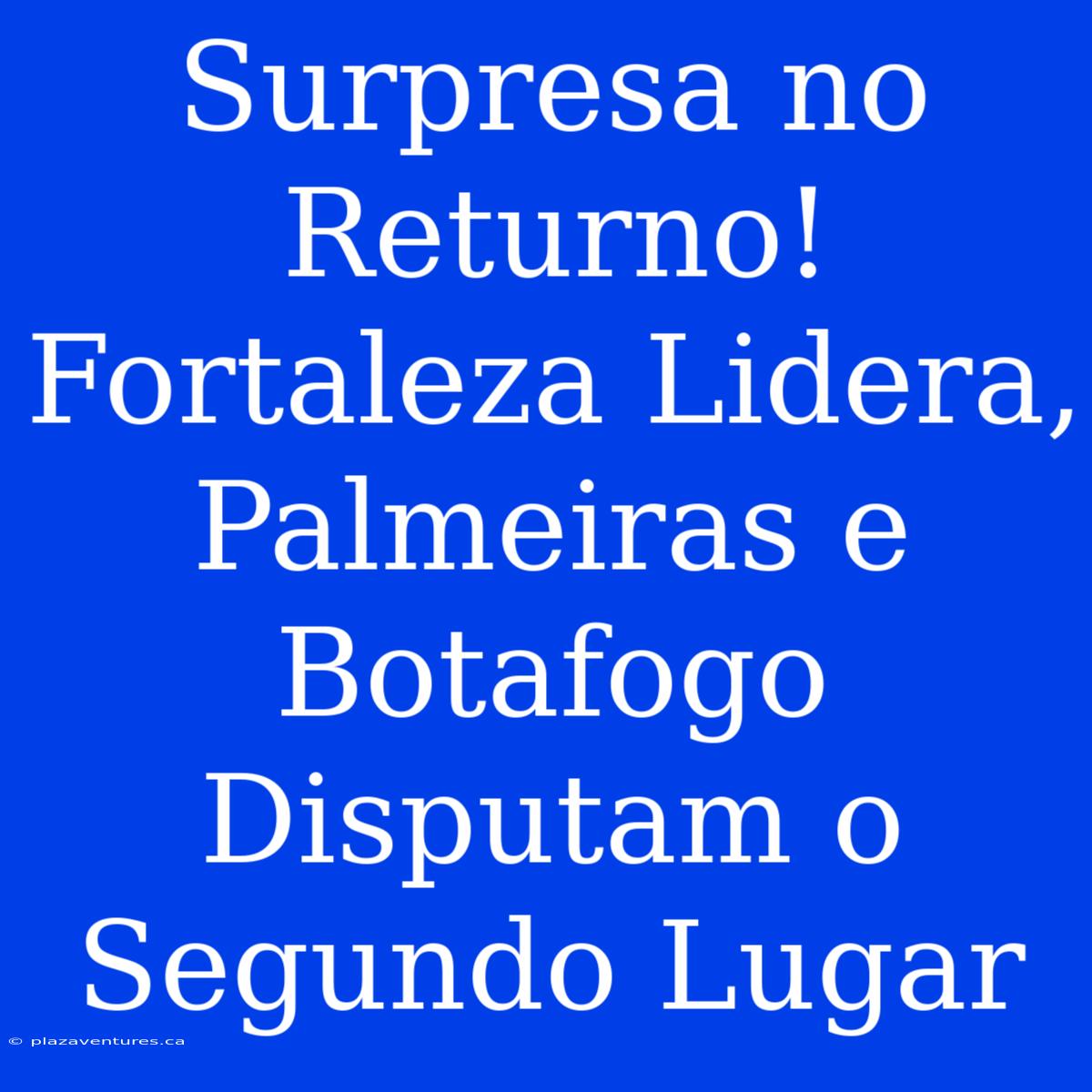 Surpresa No Returno! Fortaleza Lidera, Palmeiras E Botafogo Disputam O Segundo Lugar