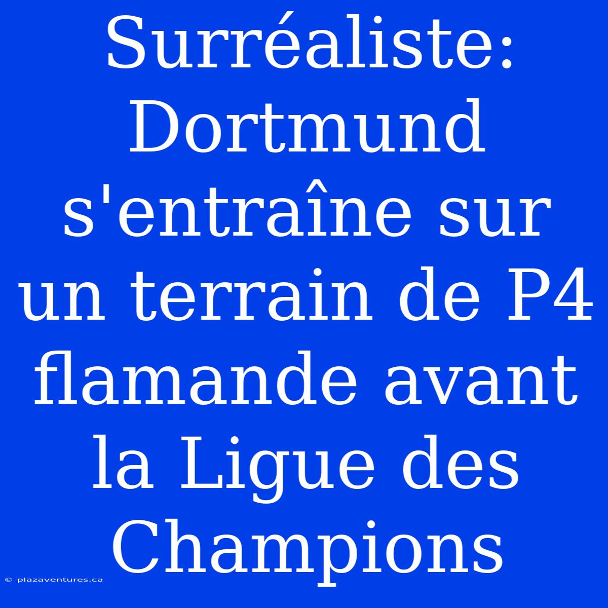 Surréaliste: Dortmund S'entraîne Sur Un Terrain De P4 Flamande Avant La Ligue Des Champions