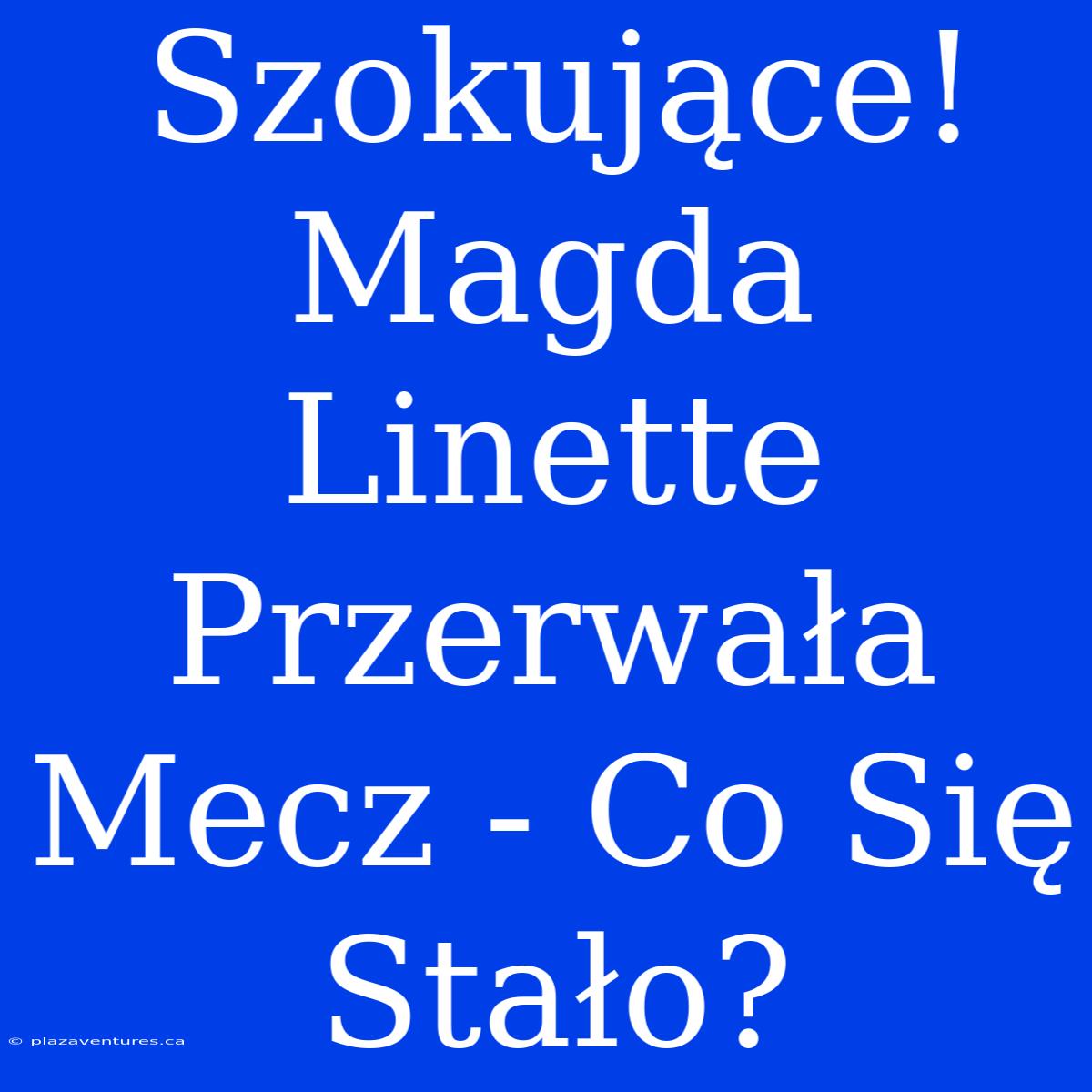 Szokujące! Magda Linette Przerwała Mecz - Co Się Stało?