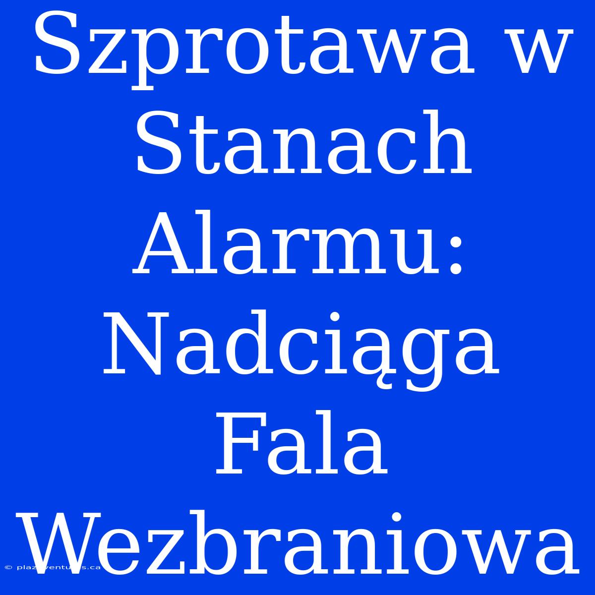 Szprotawa W Stanach Alarmu: Nadciąga Fala Wezbraniowa