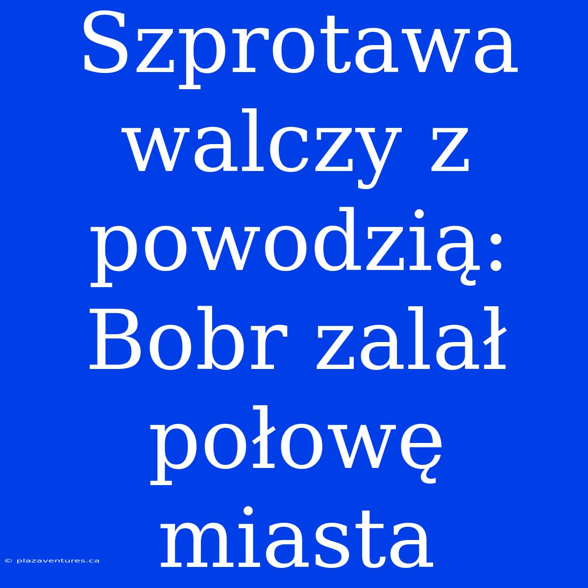 Szprotawa Walczy Z Powodzią: Bobr Zalał Połowę Miasta