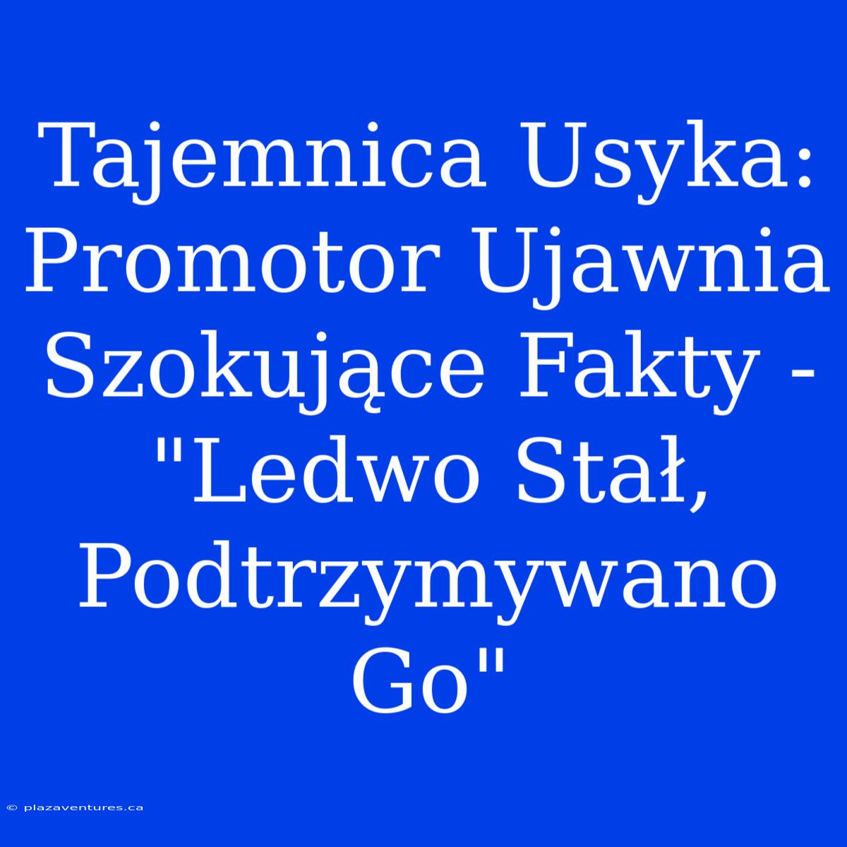 Tajemnica Usyka: Promotor Ujawnia Szokujące Fakty - 