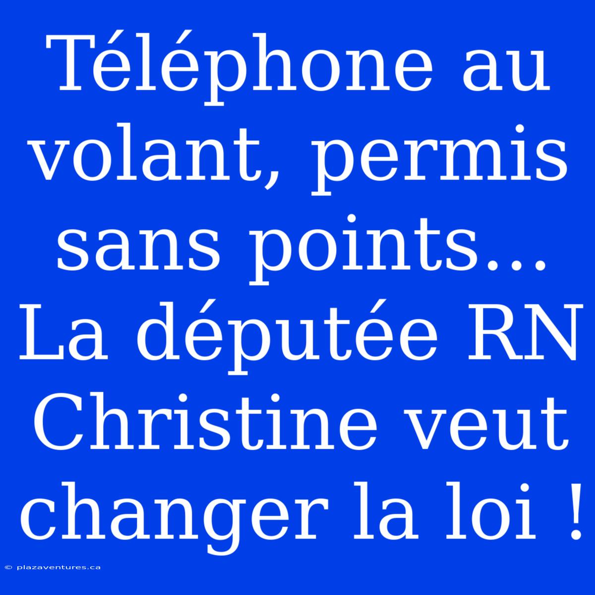 Téléphone Au Volant, Permis Sans Points... La Députée RN Christine Veut Changer La Loi !