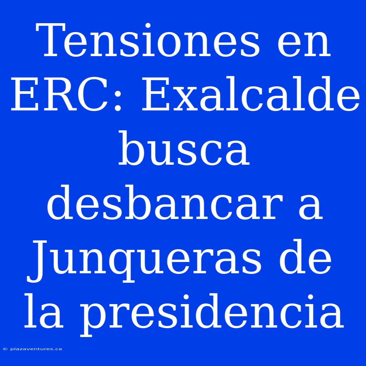 Tensiones En ERC: Exalcalde Busca Desbancar A Junqueras De La Presidencia