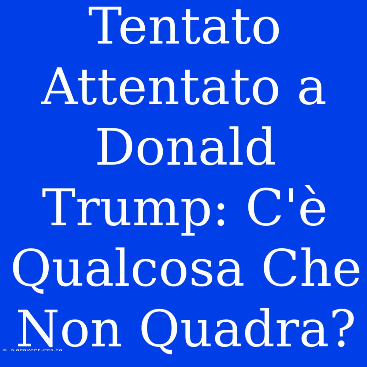 Tentato Attentato A Donald Trump: C'è Qualcosa Che Non Quadra?