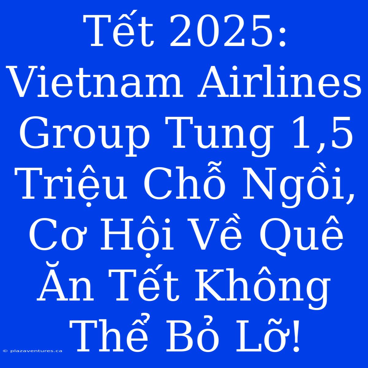 Tết 2025: Vietnam Airlines Group Tung 1,5 Triệu Chỗ Ngồi, Cơ Hội Về Quê Ăn Tết Không Thể Bỏ Lỡ!