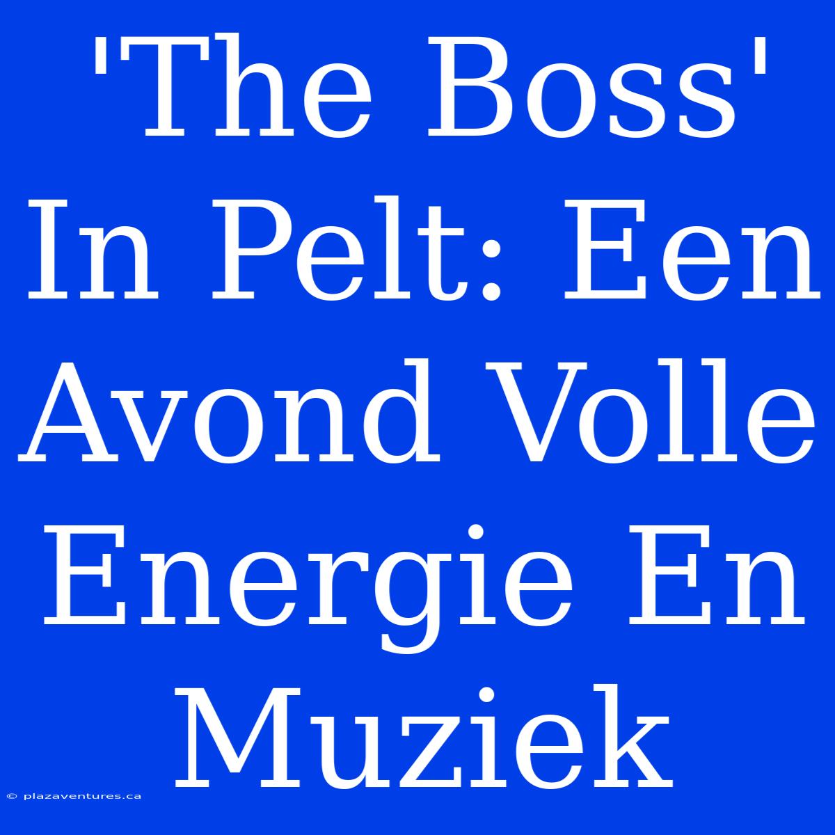 'The Boss' In Pelt: Een Avond Volle Energie En Muziek