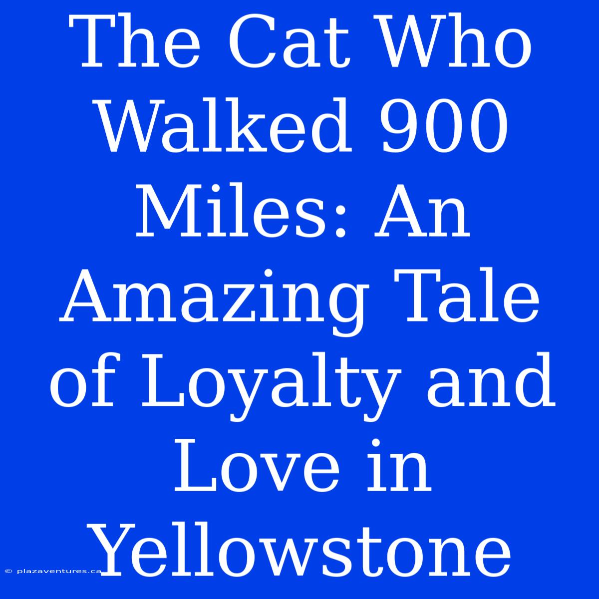 The Cat Who Walked 900 Miles: An Amazing Tale Of Loyalty And Love In Yellowstone