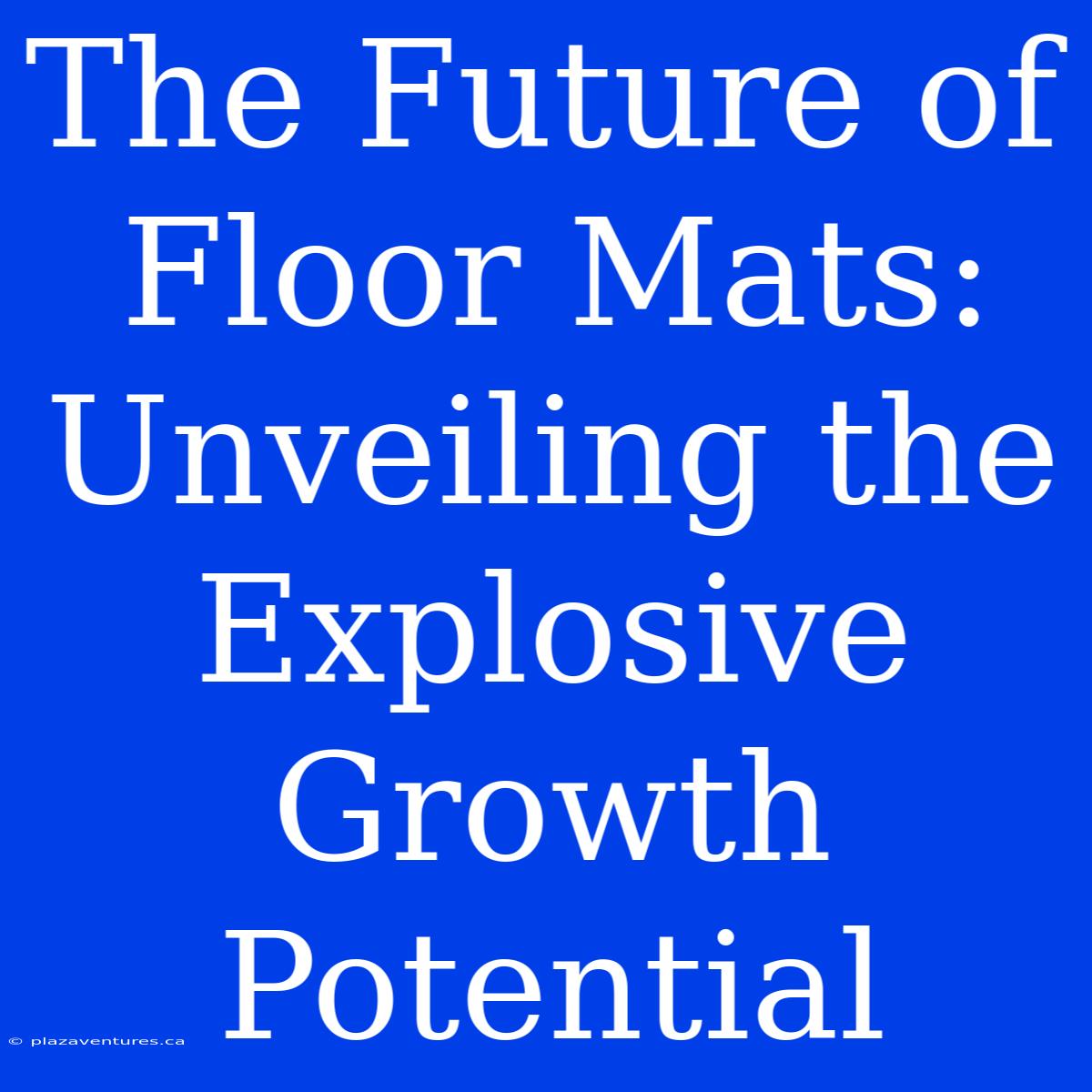 The Future Of Floor Mats: Unveiling The Explosive Growth Potential