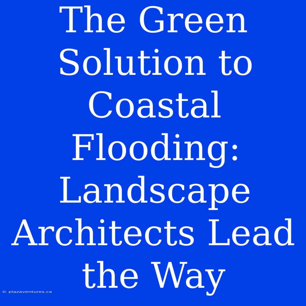 The Green Solution To Coastal Flooding: Landscape Architects Lead The Way