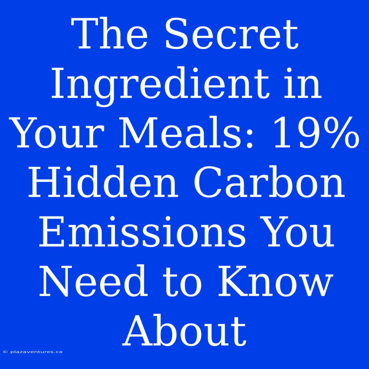 The Secret Ingredient In Your Meals: 19% Hidden Carbon Emissions You Need To Know About