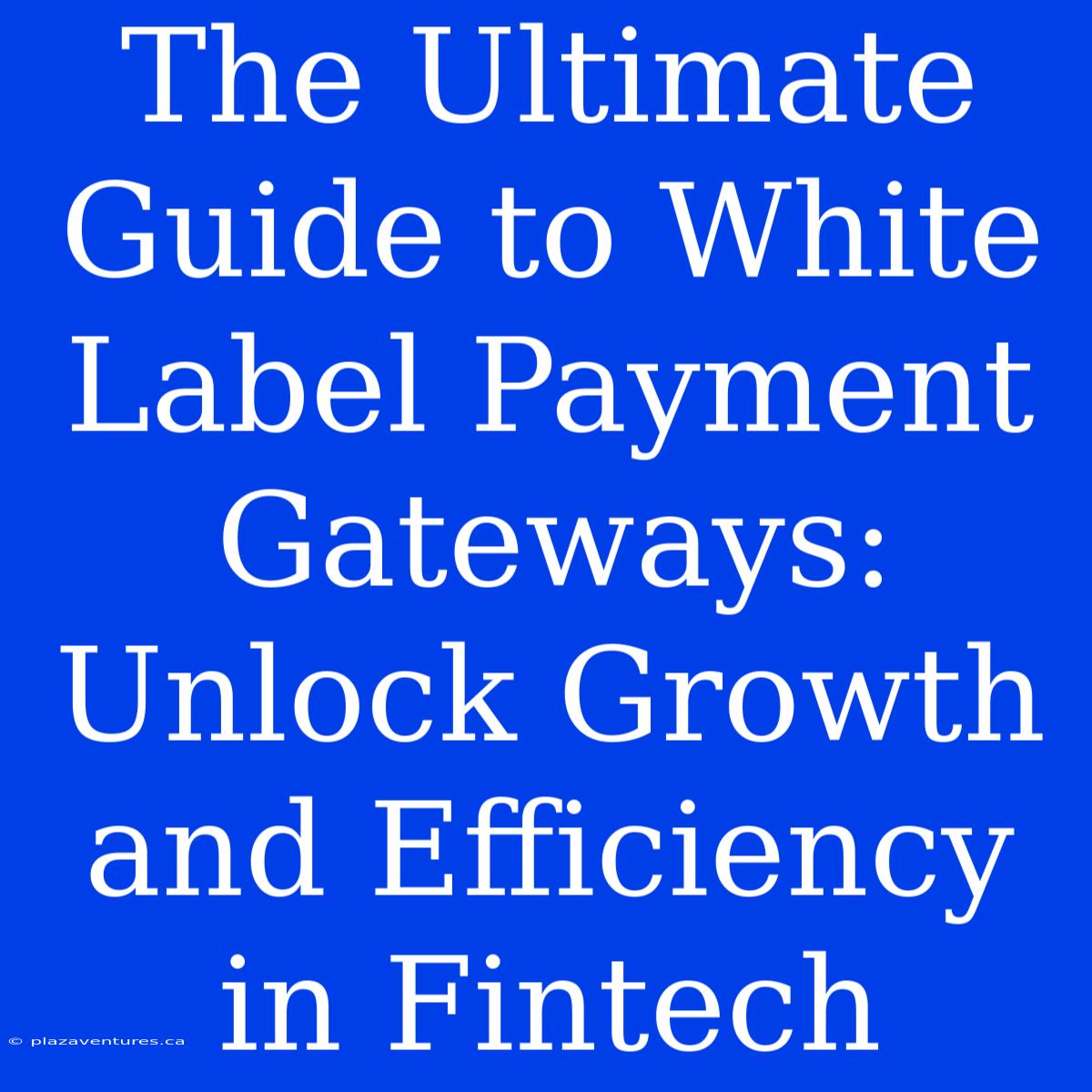 The Ultimate Guide To White Label Payment Gateways: Unlock Growth And Efficiency In Fintech