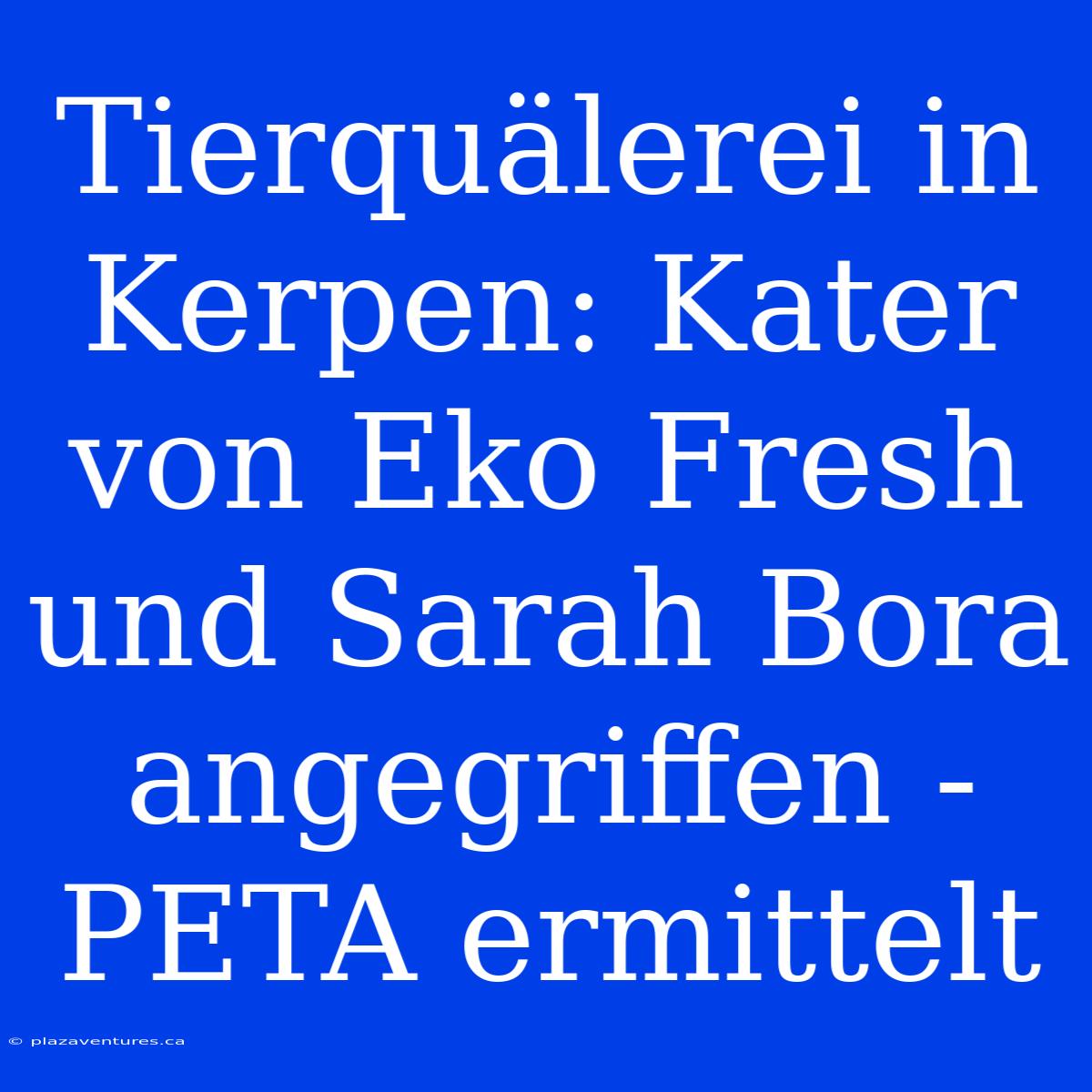 Tierquälerei In Kerpen: Kater Von Eko Fresh Und Sarah Bora Angegriffen - PETA Ermittelt