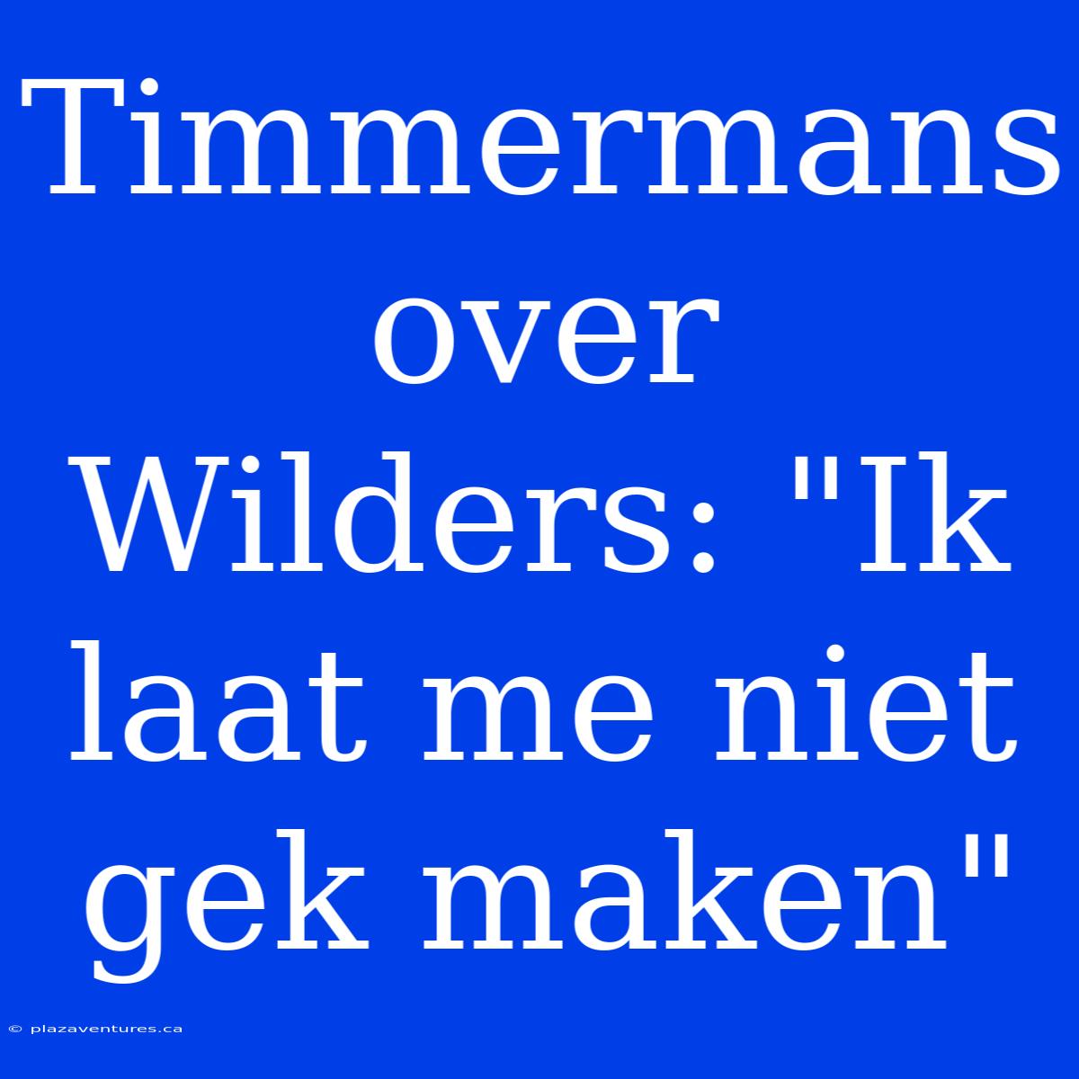 Timmermans Over Wilders: 