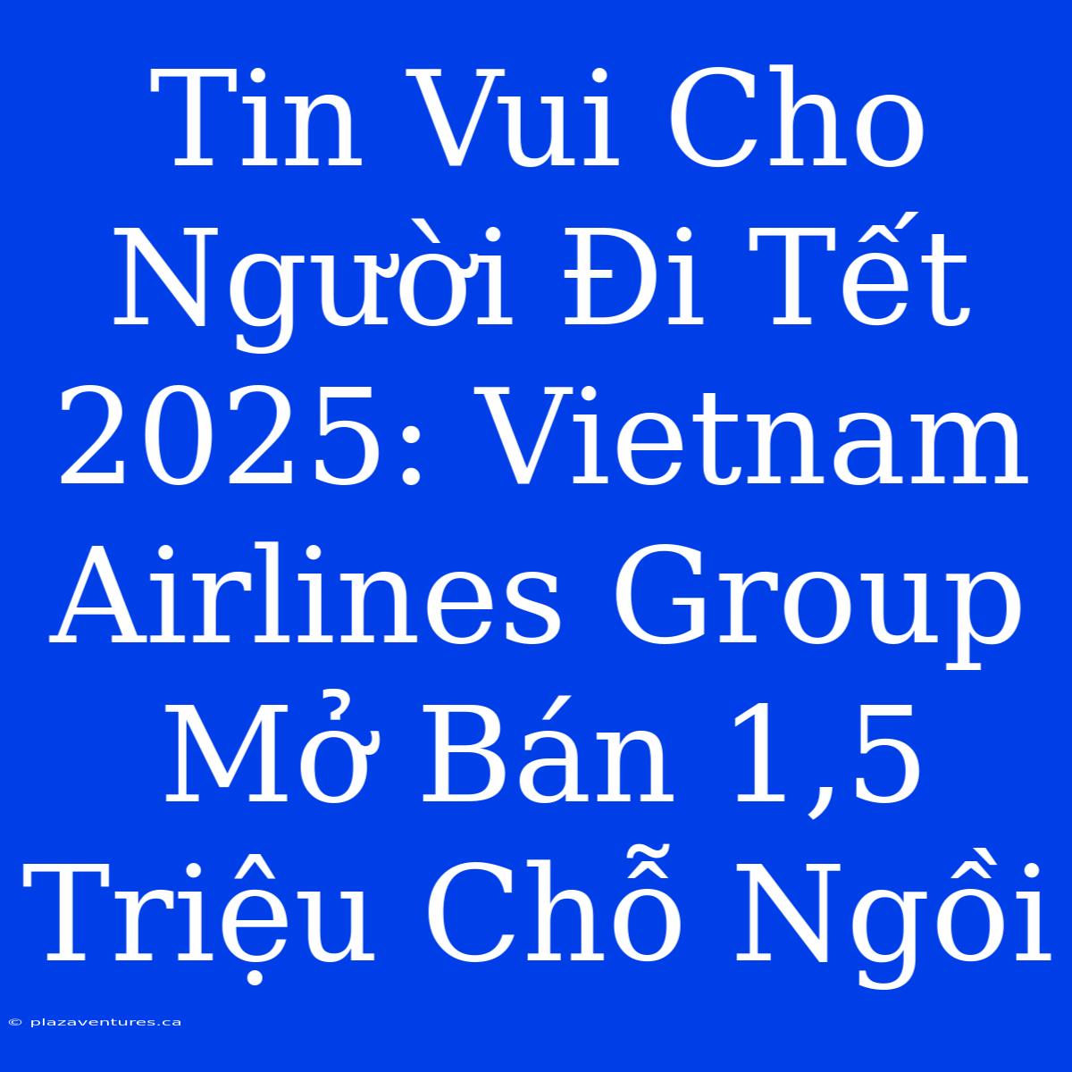 Tin Vui Cho Người Đi Tết 2025: Vietnam Airlines Group Mở Bán 1,5 Triệu Chỗ Ngồi