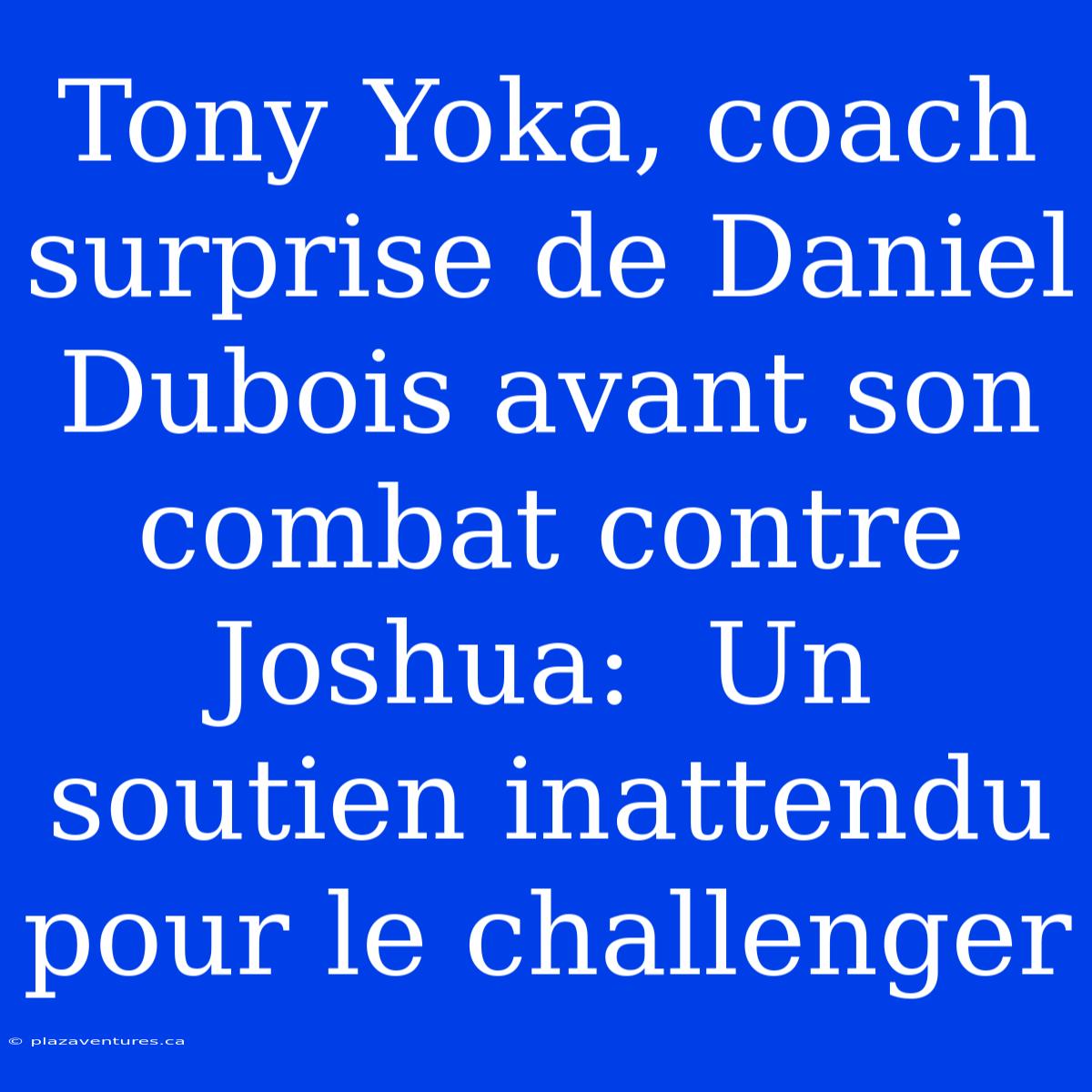 Tony Yoka, Coach Surprise De Daniel Dubois Avant Son Combat Contre Joshua:  Un Soutien Inattendu Pour Le Challenger