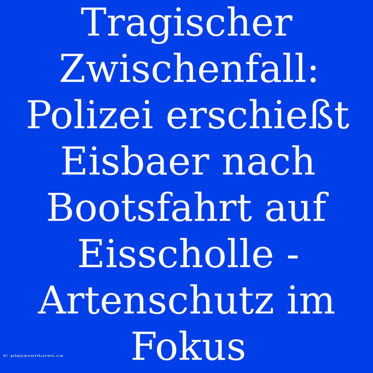 Tragischer Zwischenfall: Polizei Erschießt Eisbaer Nach Bootsfahrt Auf Eisscholle - Artenschutz Im Fokus