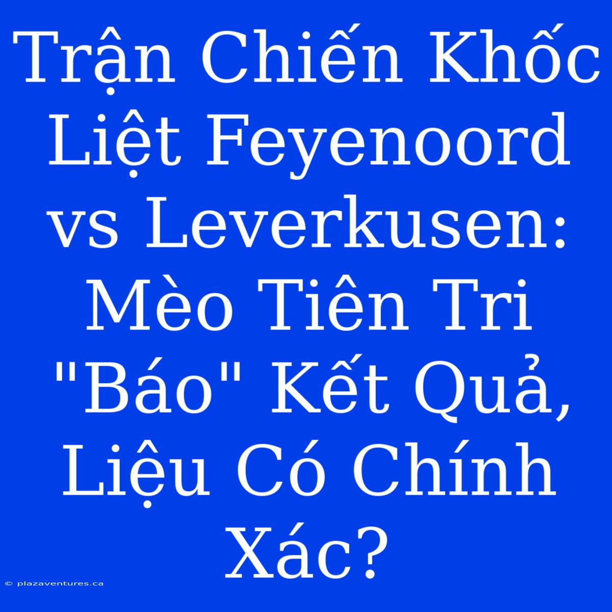 Trận Chiến Khốc Liệt Feyenoord Vs Leverkusen: Mèo Tiên Tri 