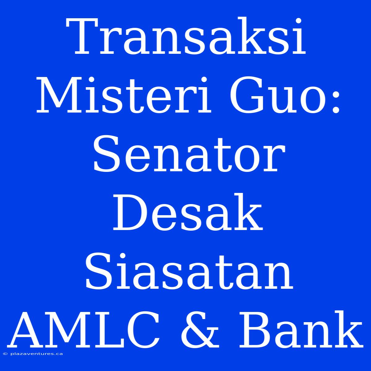 Transaksi Misteri Guo: Senator Desak Siasatan AMLC & Bank