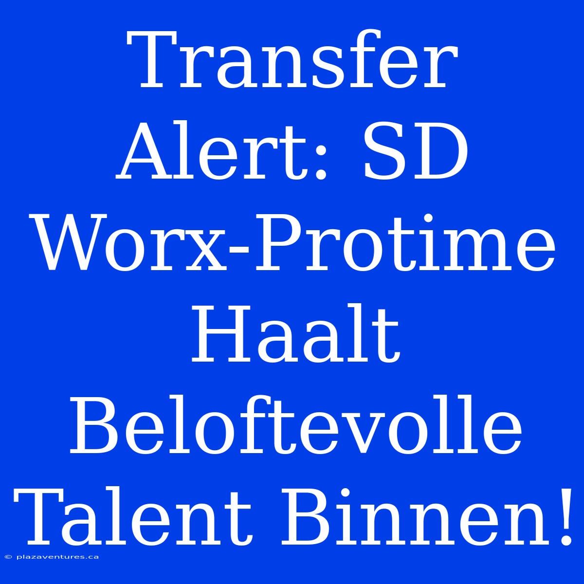 Transfer Alert: SD Worx-Protime Haalt Beloftevolle Talent Binnen!