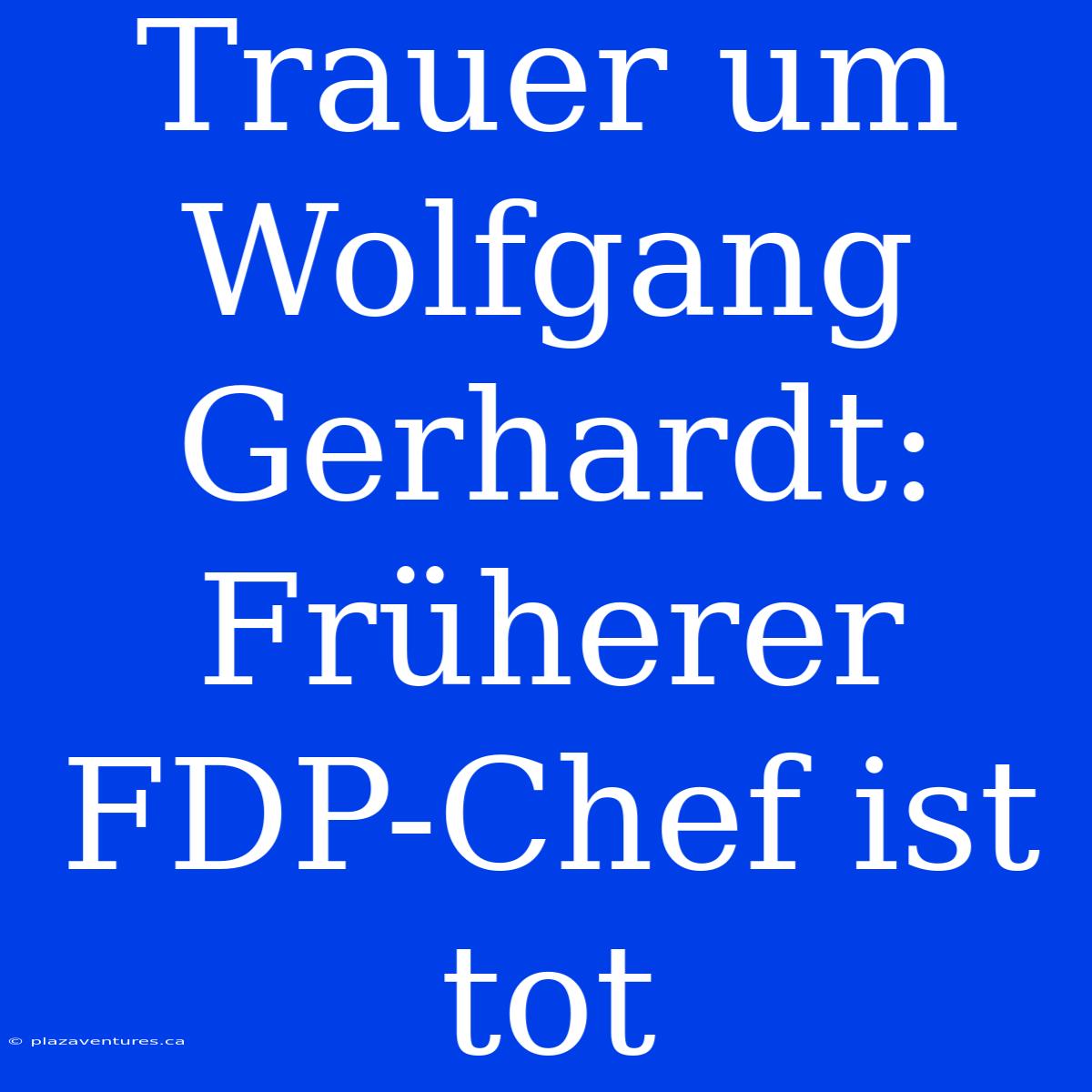 Trauer Um Wolfgang Gerhardt: Früherer FDP-Chef Ist Tot