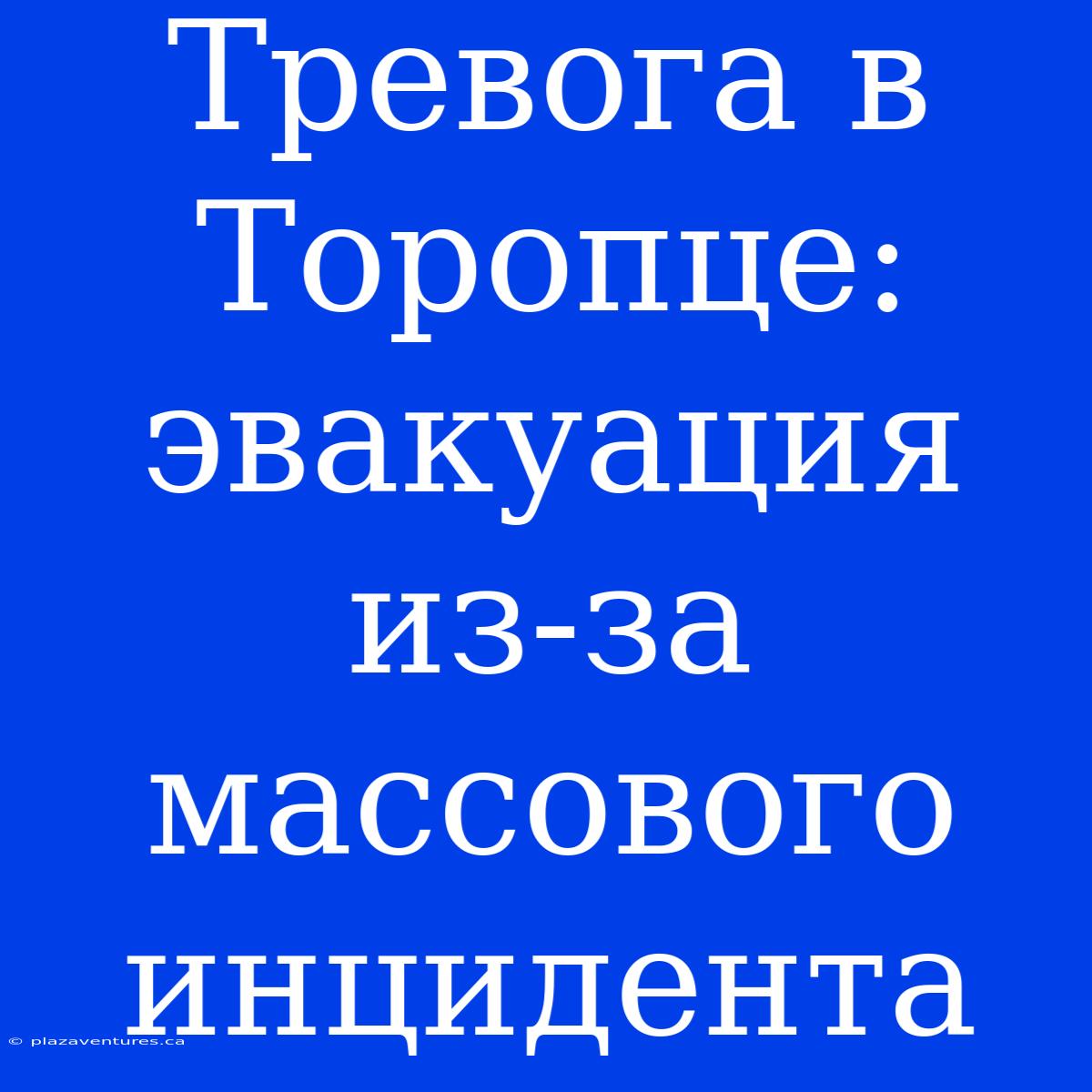 Тревога В Торопце: Эвакуация Из-за Массового Инцидента