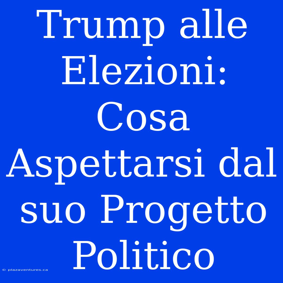 Trump Alle Elezioni: Cosa Aspettarsi Dal Suo Progetto Politico