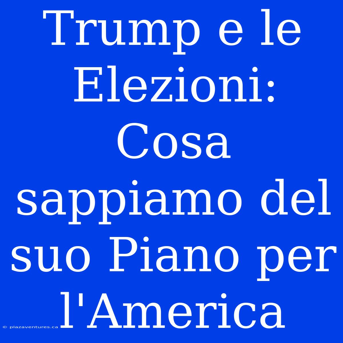 Trump E Le Elezioni: Cosa Sappiamo Del Suo Piano Per L'America