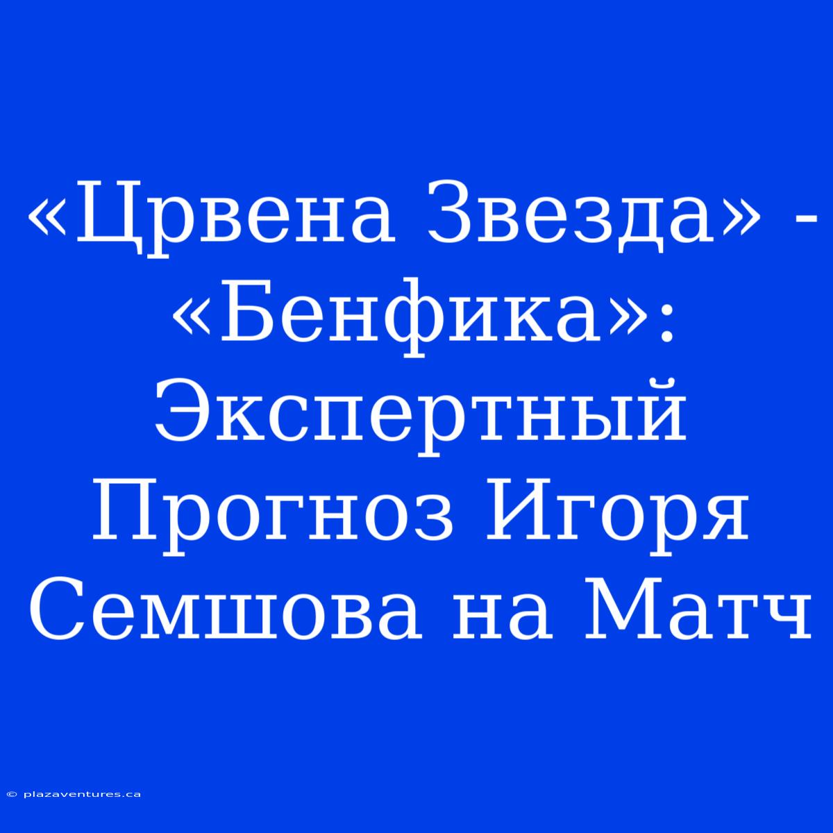 «Црвена Звезда» - «Бенфика»: Экспертный Прогноз Игоря Семшова На Матч