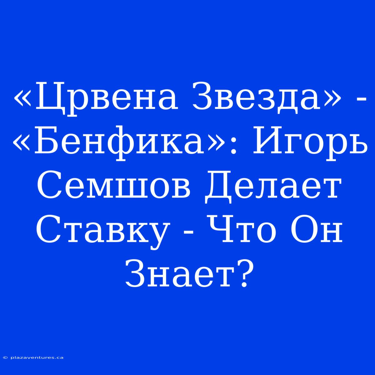 «Црвена Звезда» - «Бенфика»: Игорь Семшов Делает Ставку - Что Он Знает?