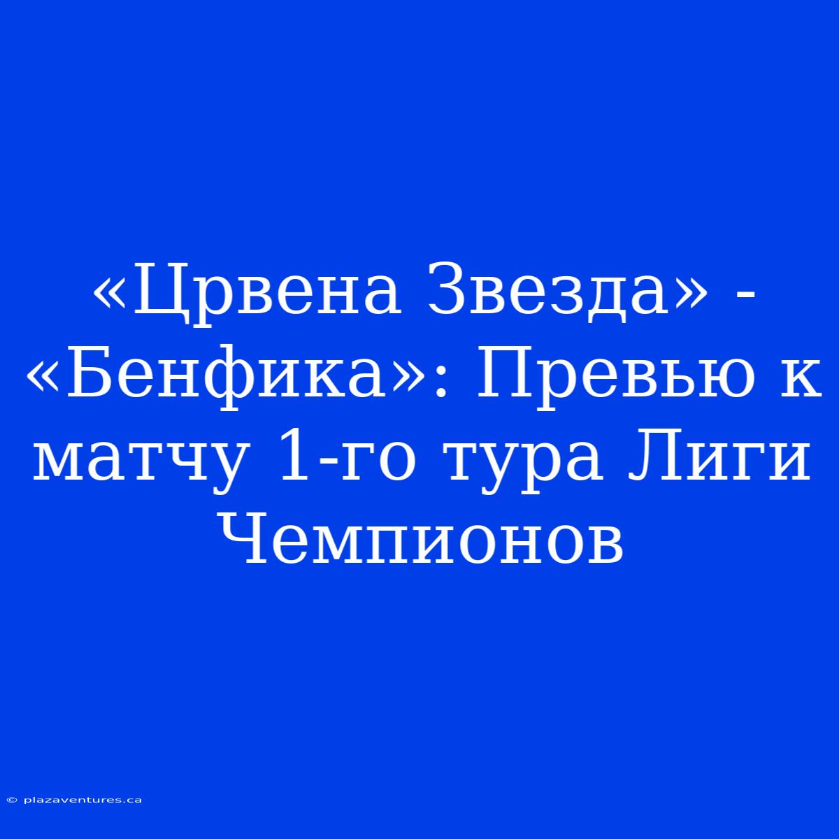 «Црвена Звезда» - «Бенфика»: Превью К Матчу 1-го Тура Лиги Чемпионов